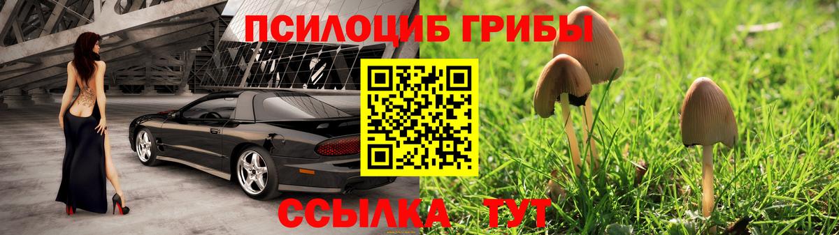 Галлюциногенные грибы Cubensis Анапа